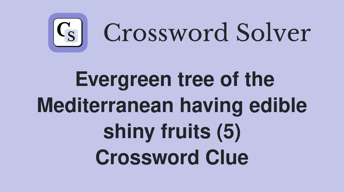 Evergreen tree of the Mediterranean having edible shiny fruits (5) Crossword Clue Answers